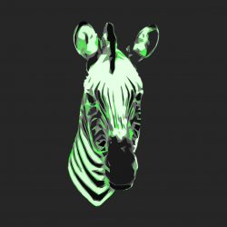 Downloadable Zebras